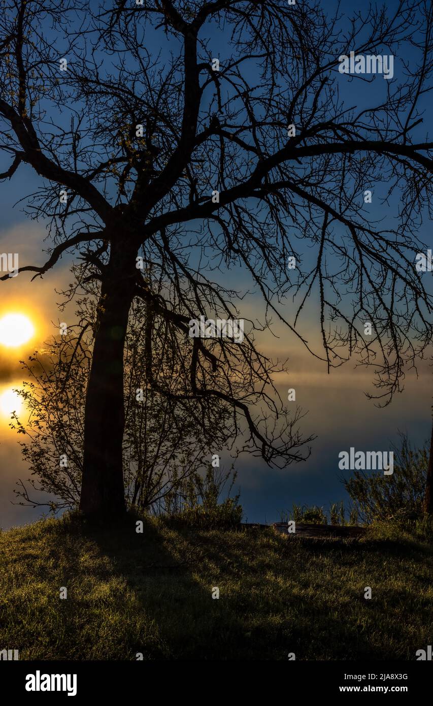 Lever du soleil sur le lac Blaisdell dans le nord du Wisconsin. Banque D'Images