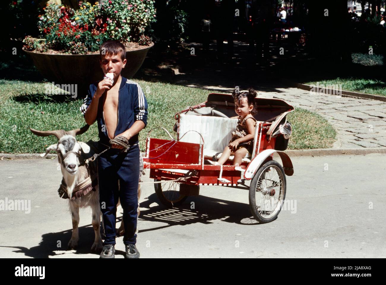 Garçon mangeant de la crème glacée et dirigeant un petit char tiré par une chèvre avec une petite fille à Petrópolis, Brésil 1980 Banque D'Images