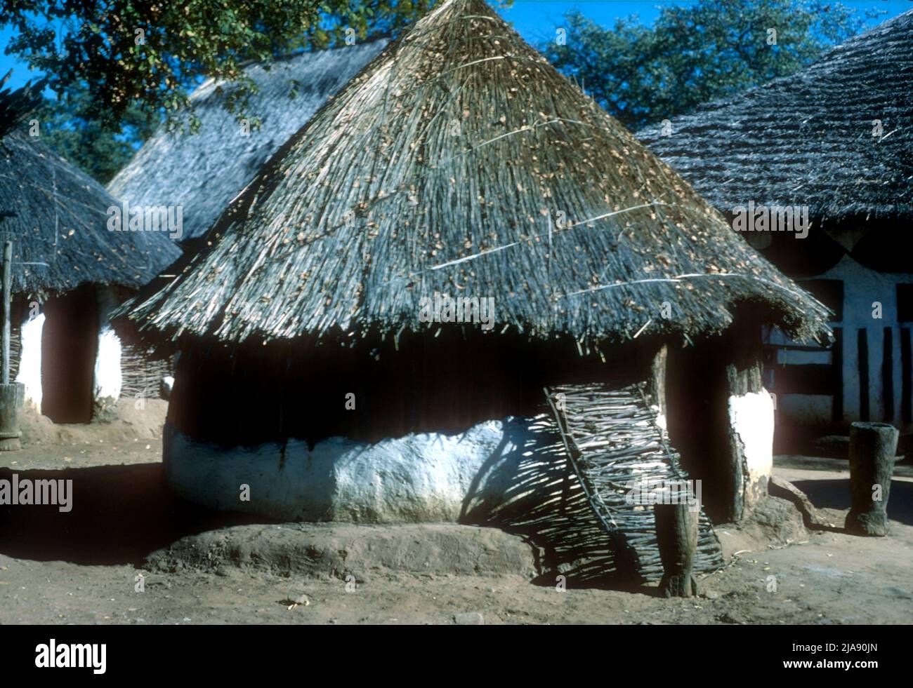 Village de Ndebele, tribu parlant Bantu dans le Sud-Ouest du Zimbabwe Banque D'Images