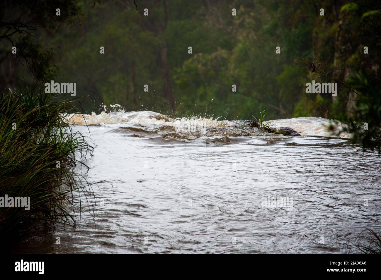 Vue sur le sommet des chutes Queen Mary près de Killarney Queensland Banque D'Images