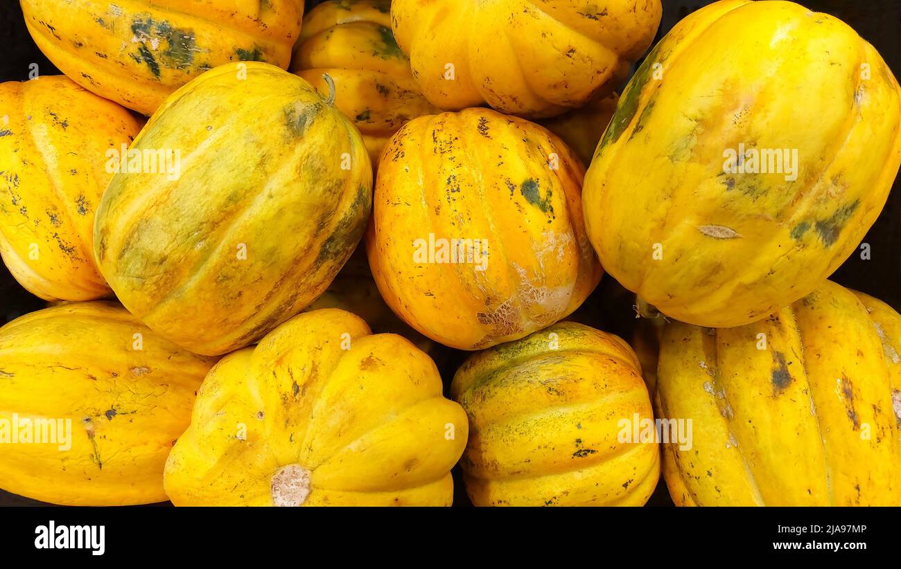 Citrouille jaune (Cucurbita maxima) prête à la vente Banque D'Images