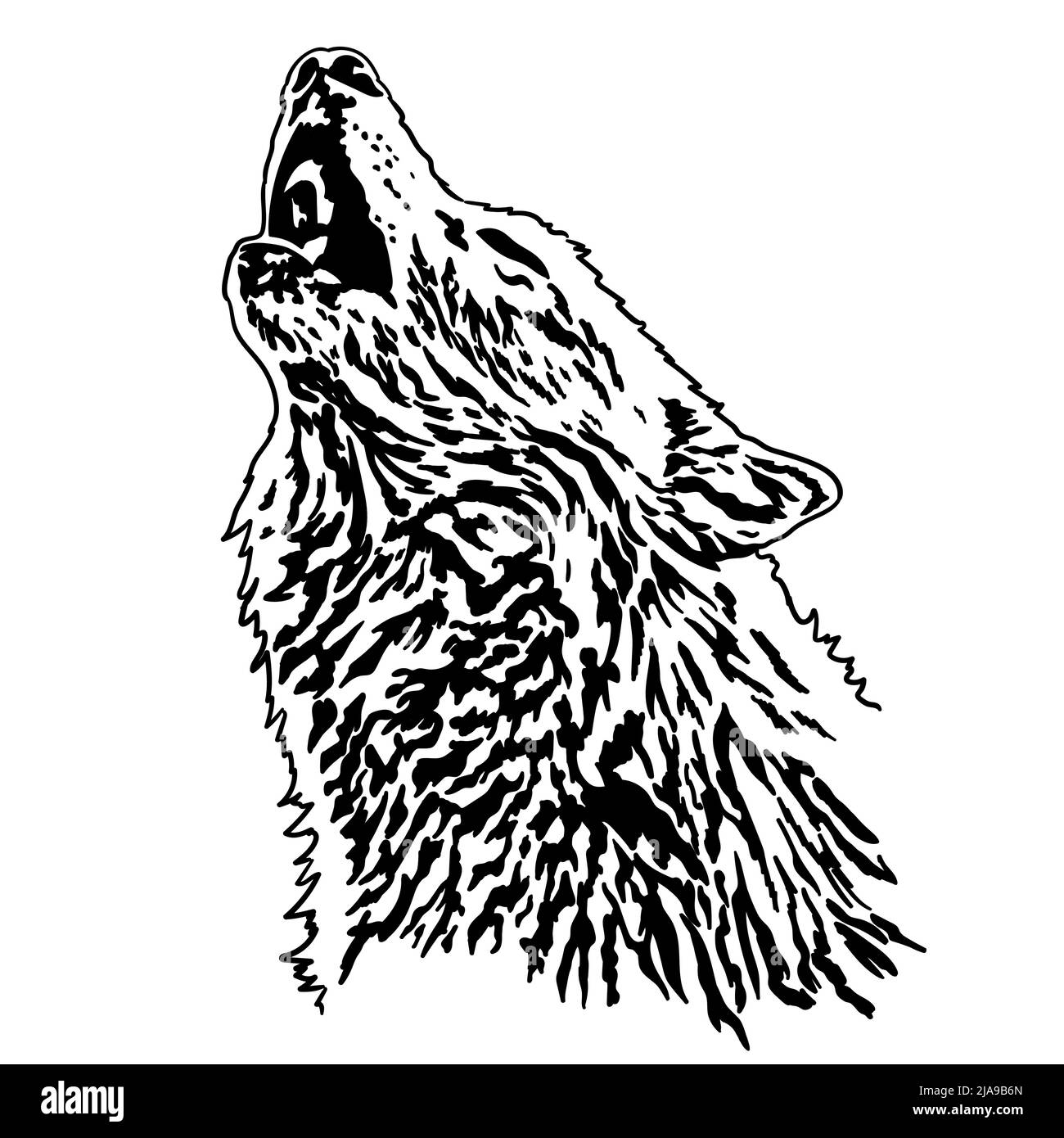 Le loup a levé la tête et hurle sur la lune. Illustration vectorielle isolée sur fond blanc. Illustration de Vecteur