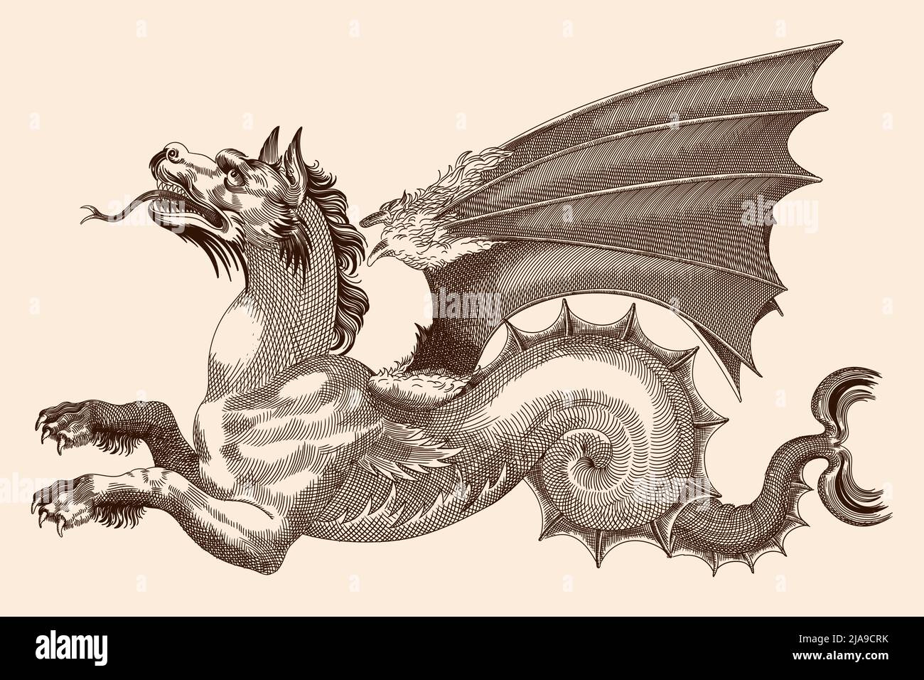 Dragon avec ailes, bouche ouverte et langue saillante. Dessin vectoriel dans le style de la gravure médiévale. Illustration de Vecteur