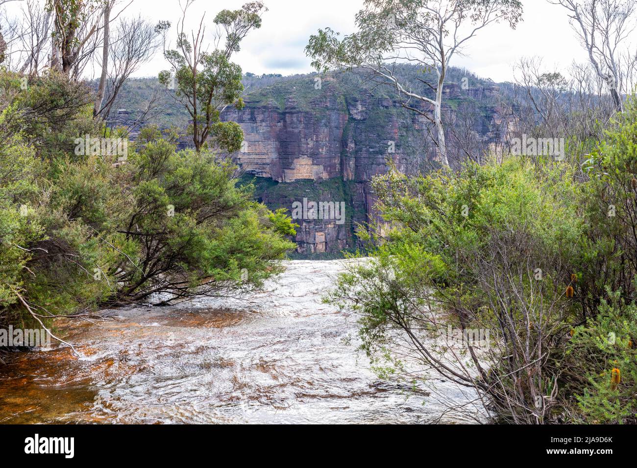Le ruisseau Govetts s'étend dans la Grose Valley, les Blue Mountains en Nouvelle-Galles du Sud, en Australie, le jour de l'automne Banque D'Images