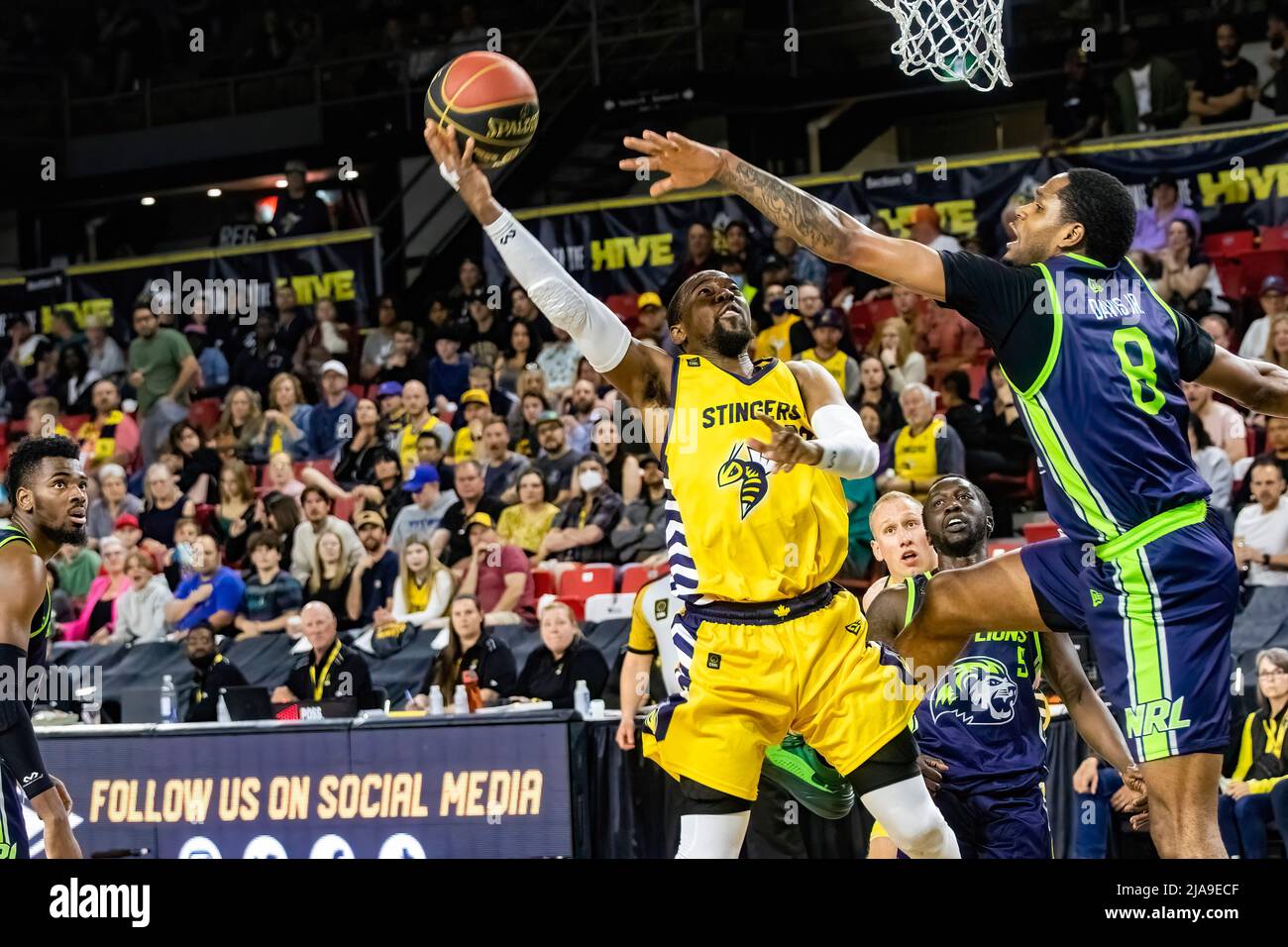 Edmonton, Canada. 27th mai 2022. Jhamal Jones d'Edmonton et Antonio Davis Jr de Niagara dans l'Edmonton Stingers 2022 saison ouvreur contre les Lions de la rivière Niagara au centre d'exposition d'Edmonton. Niagara River Lions 86 -77 Edmonton Stingers. Crédit : SOPA Images Limited/Alamy Live News Banque D'Images