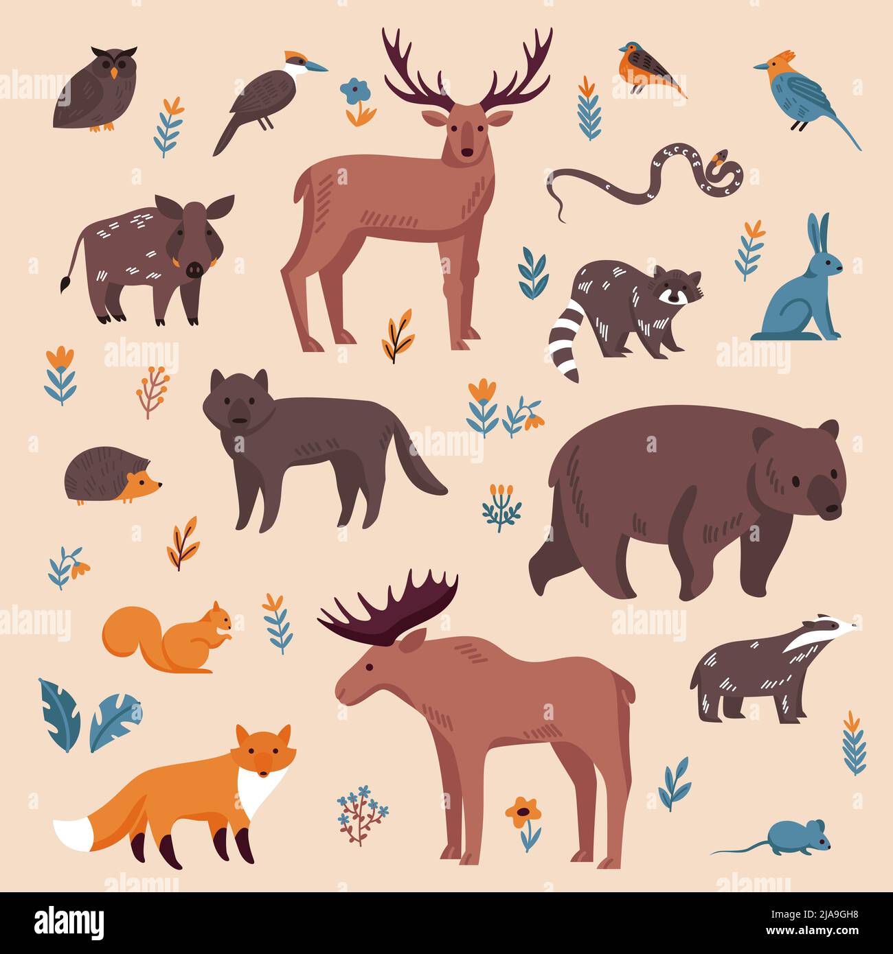 Animaux de la forêt ensemble de couleurs avec des images isolées de petits et grands animaux sauvages avec fleurs feuilles illustration vectorielle Illustration de Vecteur