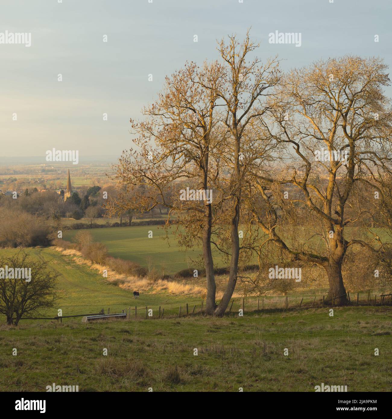 North Cotswolds en hiver, Gloucestershire, Angleterre. Banque D'Images
