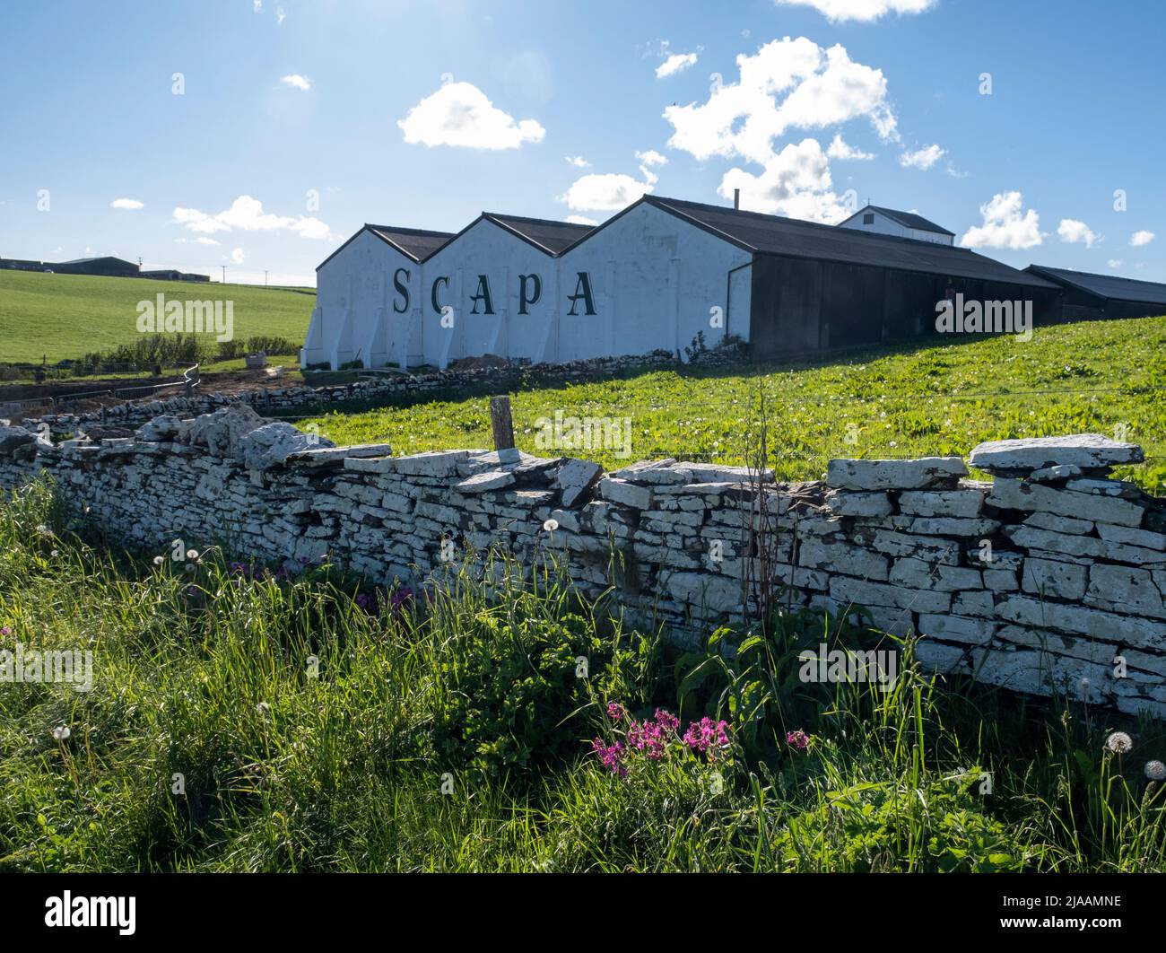 Distillerie de Scapas, baie de Scapas, Orcades, Écosse, Royaume-Uni Banque D'Images