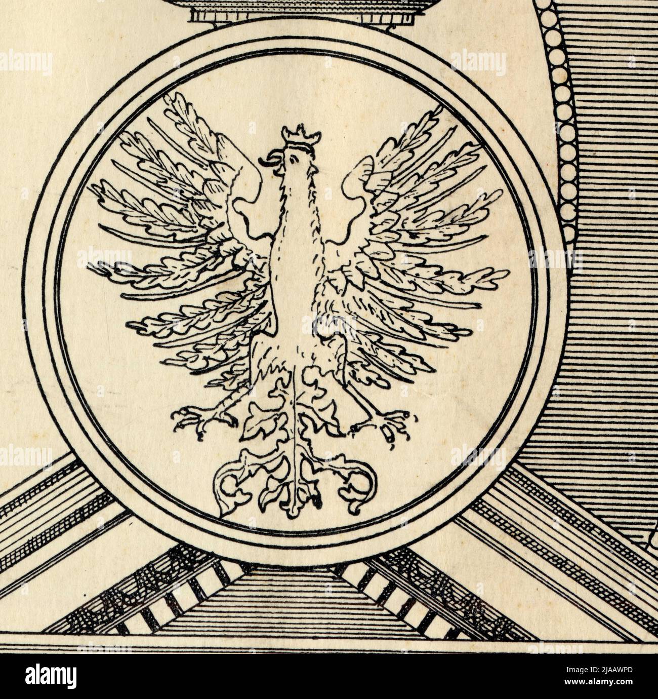 Symbole Polski Orzel. Banque D'Images