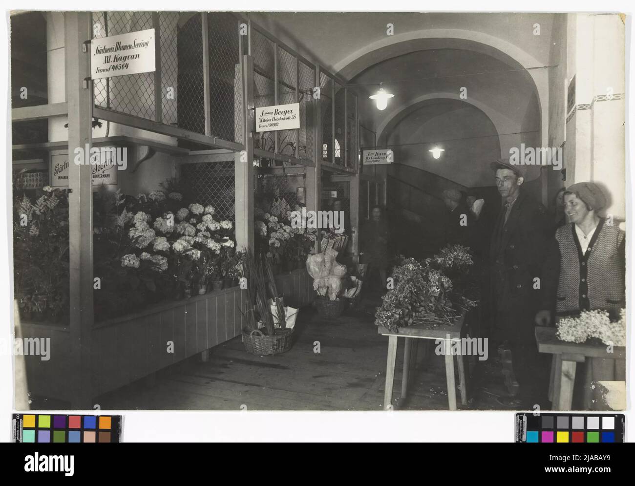 1st, Liebenberggasse - Bâtiment horticole - vue intérieure - marché de gros de fleurs. Inconnu Banque D'Images