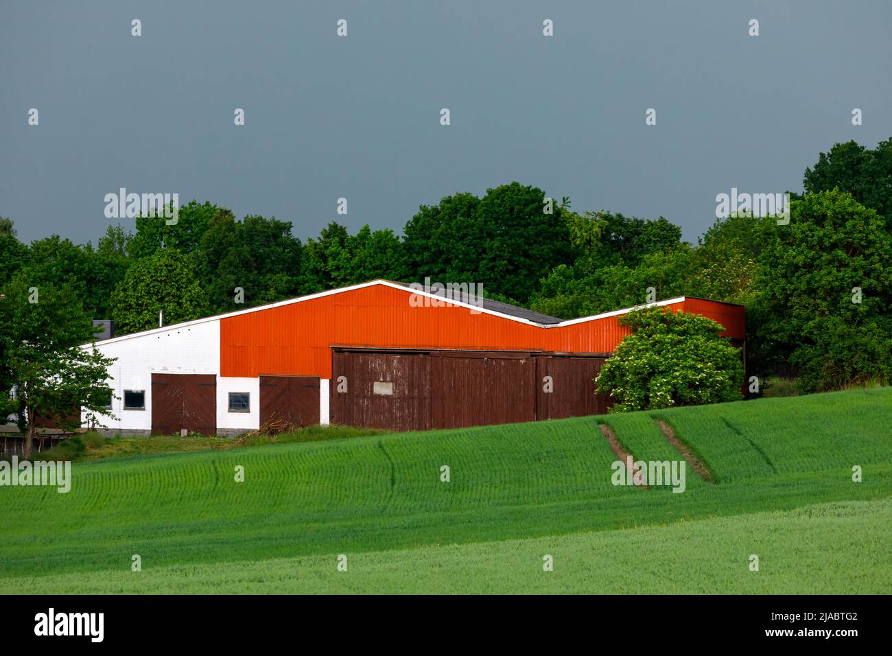grange rouge à la campagne Banque D'Images