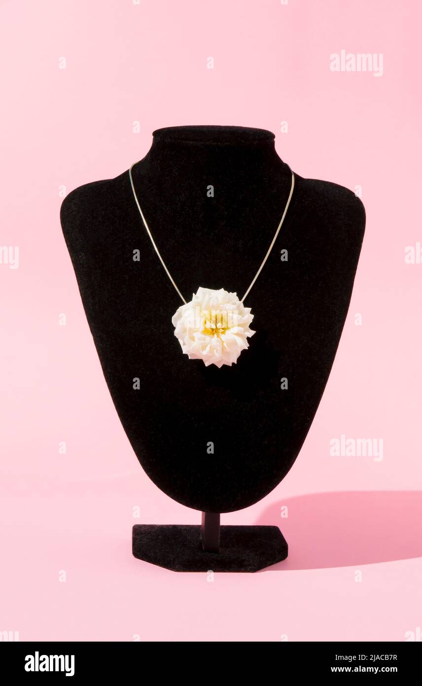 Collier élégant et créatif en fleur de rose blanche sur fond pastel. Concept minimaliste moderne. Composition estivale. Banque D'Images