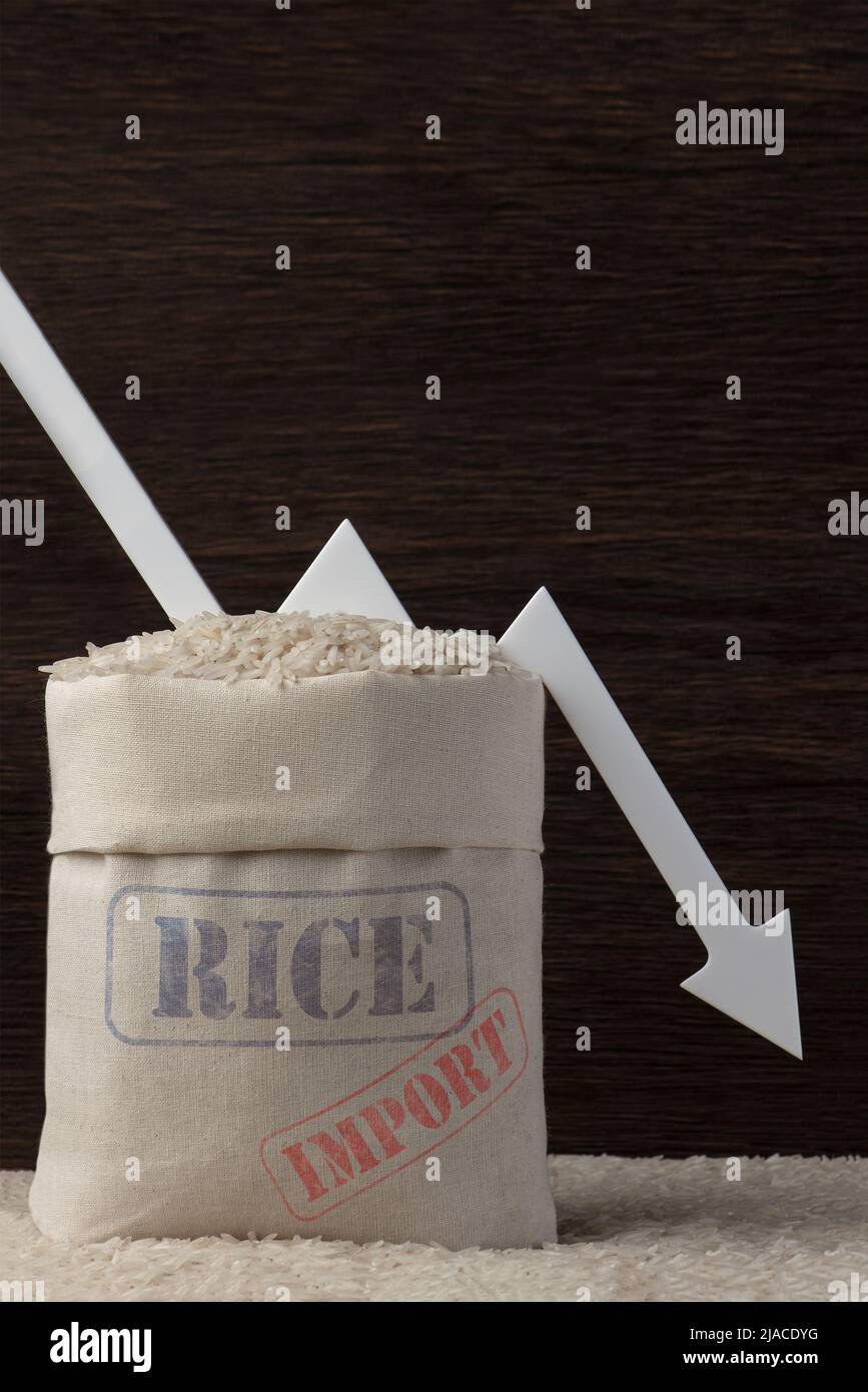 Importation de riz. Diminution des importations de riz et de céréales. Crise alimentaire mondiale. Interdiction des importations de céréales et de produits agricoles. Banque D'Images