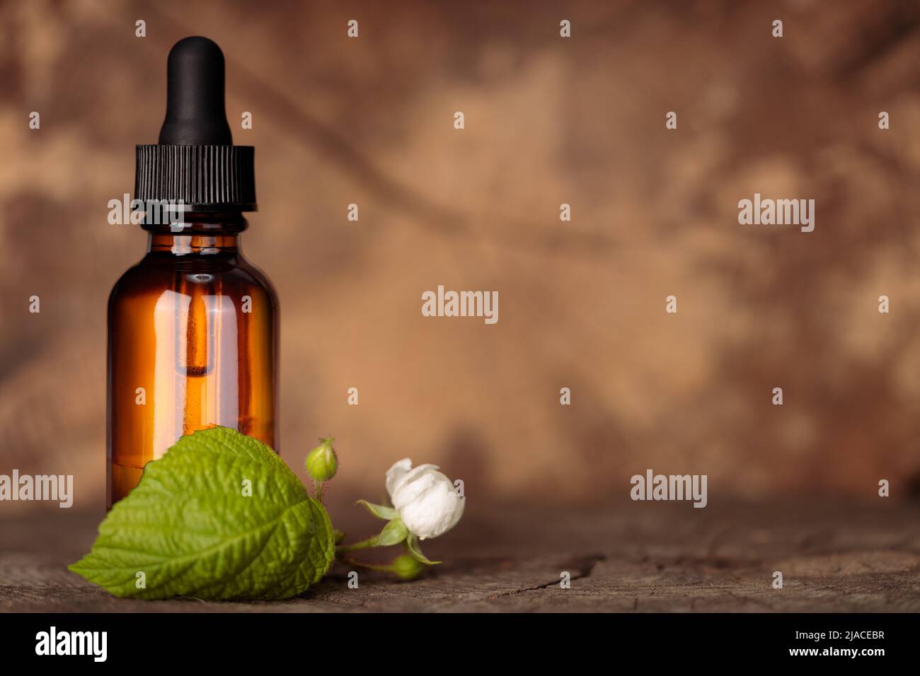 Bouteille avec compte-gouttes et fleur de mûre, huile essentielle. Remèdes naturels, espace de copie. Banque D'Images