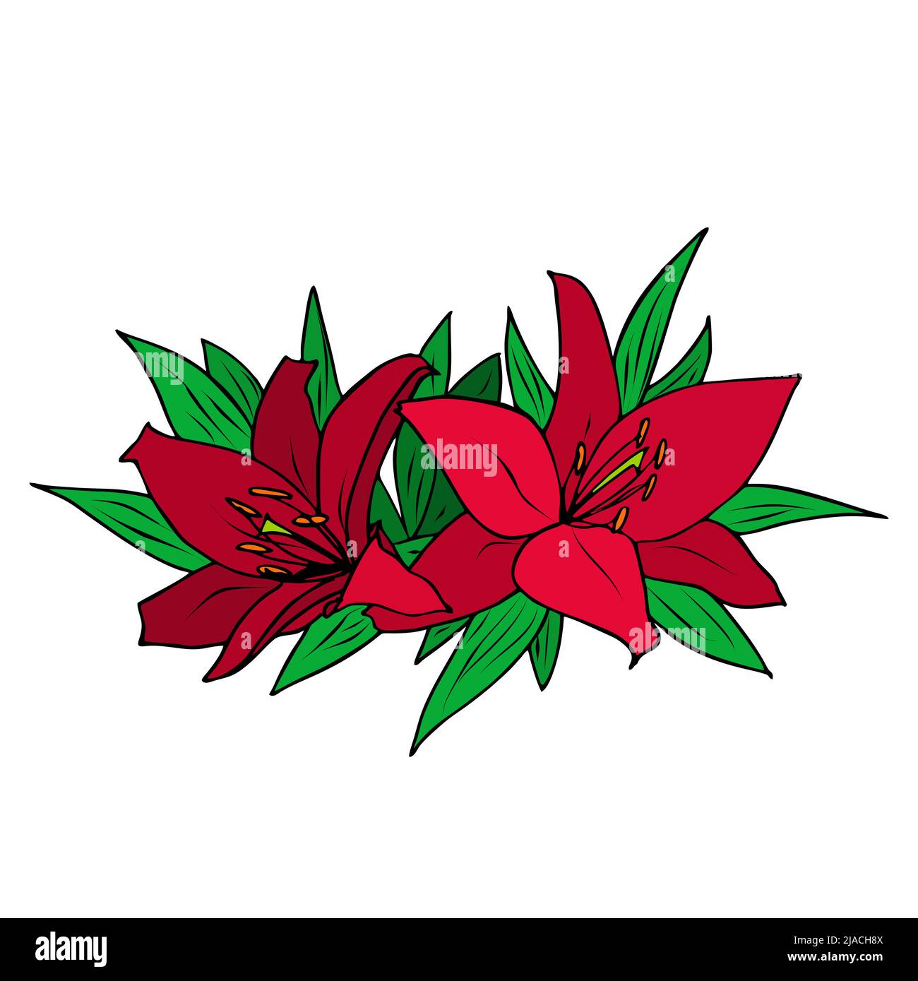 bouquet de fleurs de nénuphars rouge vif sur fond blanc, dessin graphique couleur, design, art Illustration de Vecteur