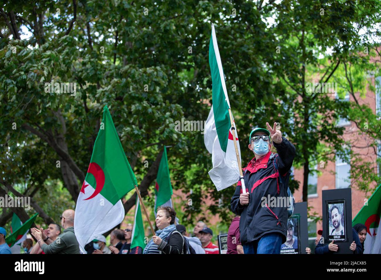 Montréal, Canada. 28th mai 2022. Un manifestant algérien détient le drapeau algérien et fait un signe de paix pendant la manifestation. Quatre ans après son entrée dans la diaspora algérienne, le mouvement Hirak continue de lutter pour la démocratie à Montréal. Organisé par tous nos Unis pour notre Algerie, des centaines de manifestants se sont rassemblés devant le Consulat algérien pour demander la destitution des dirigeants politiques actuels, dirigés par le président Abdelmadjid Tebboune. Invoquant la corruption chronique et l'absence de résolutions prévoyables, les manifestants ont qualifié le gouvernement de gouvernement mafieux. Crédit : SOPA Images Limited/Alamy Live News Banque D'Images
