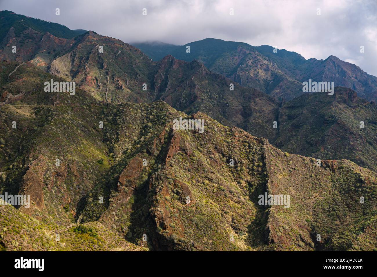 Paysage de montagne, Parc rural d'Anaga, Ténérife, Iles Canaries, Espagne Banque D'Images