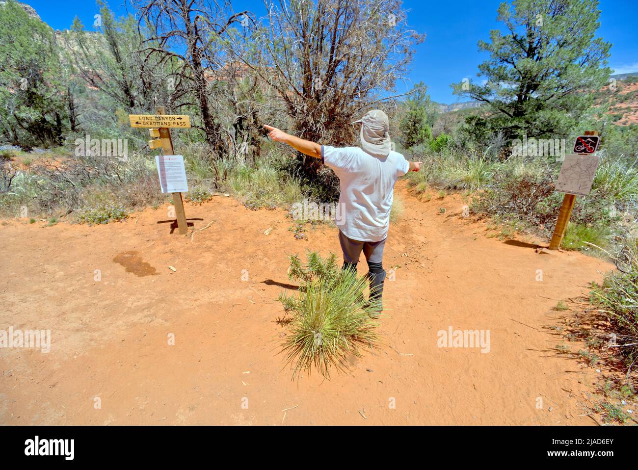 Homme debout à la jonction de deux sentiers de randonnée, Sedona, Arizona, Etats-Unis Banque D'Images