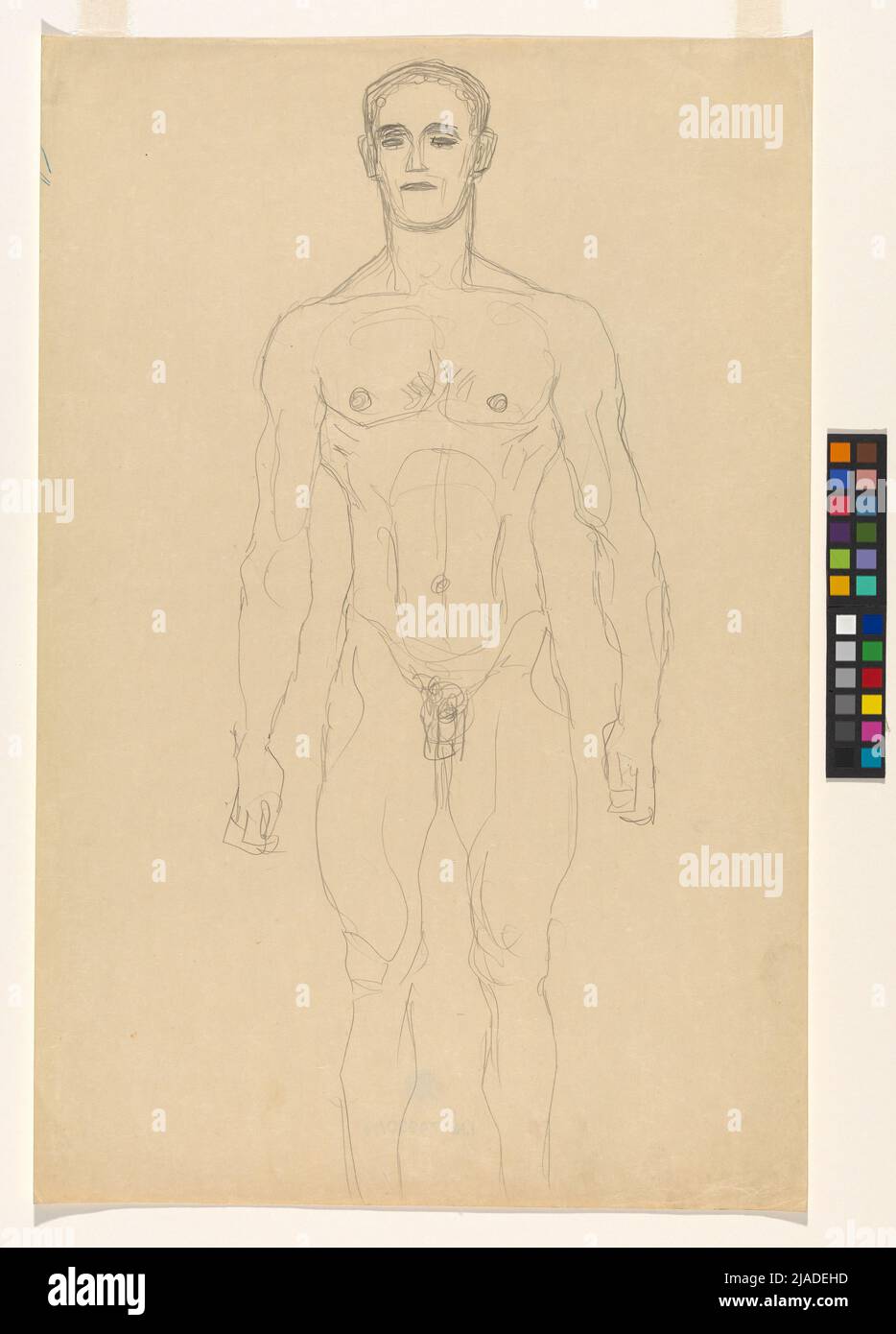 Act. Masculin Gustav Klimt (1862-1918), artiste Banque D'Images