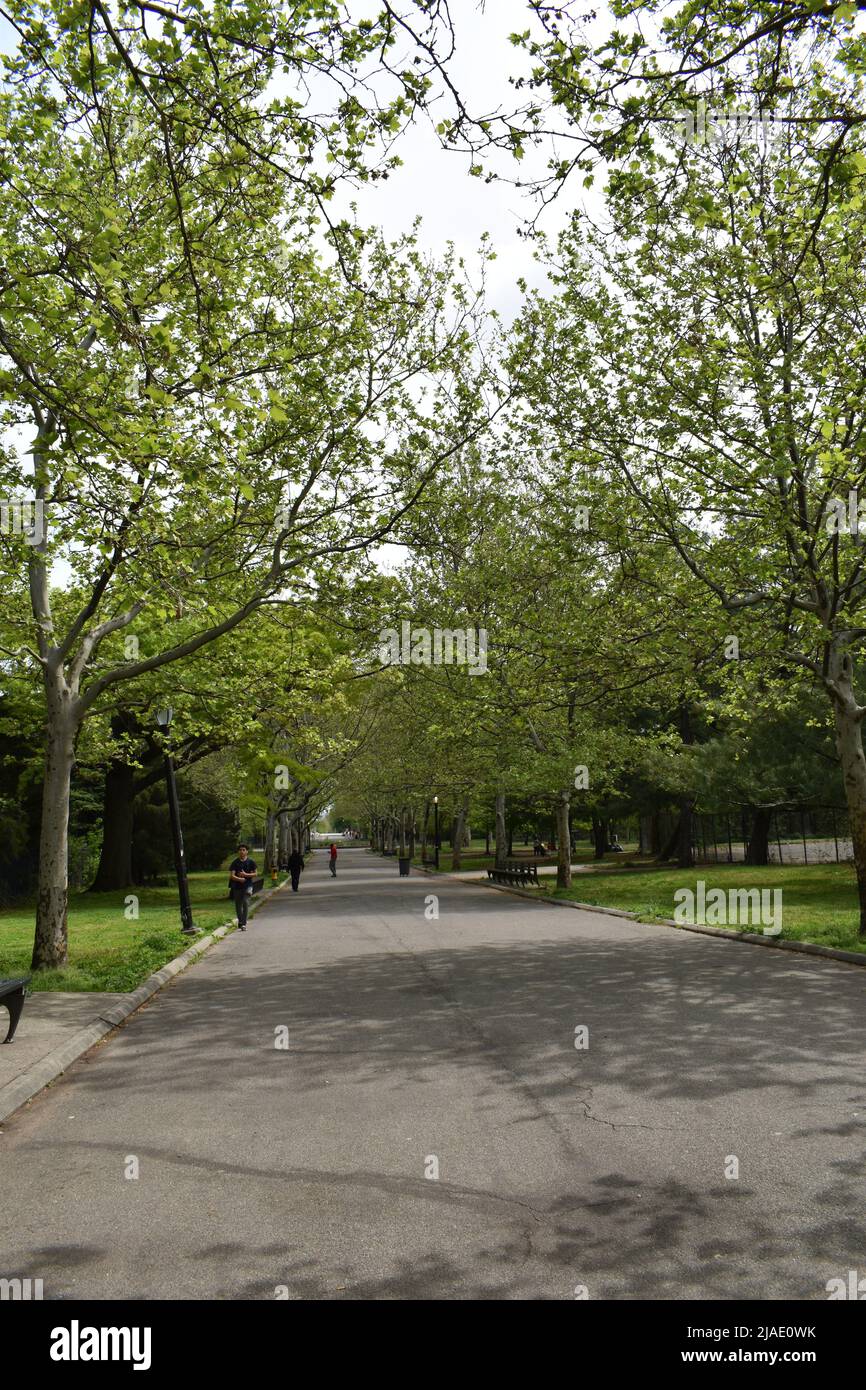 La ligne des arbres un sentier pendant la saison de printemps 2022 dans le parc de Flushing Meadows Corona, Corona, Queens, New York City, États-Unis. Banque D'Images