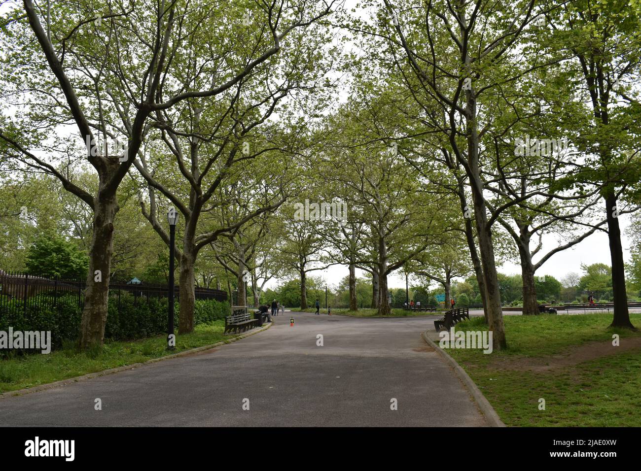 La ligne des arbres un sentier pendant la saison de printemps 2022 dans le parc de Flushing Meadows Corona, Corona, Queens, New York City, États-Unis. Banque D'Images