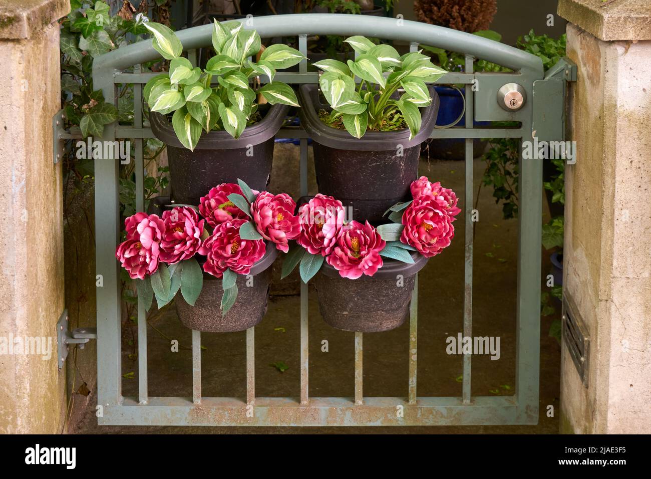 Portail de jardin en métal décoré de plantes vertes et de fleurs artificielles Banque D'Images