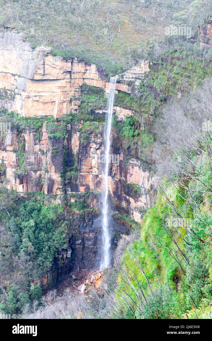 Govetts Leap Falls ou Bridal Veil Falls, Grose Valley, parc national Blue Mountains, Blackheath, NSW, Australie, chute d'eau en plein débit Banque D'Images