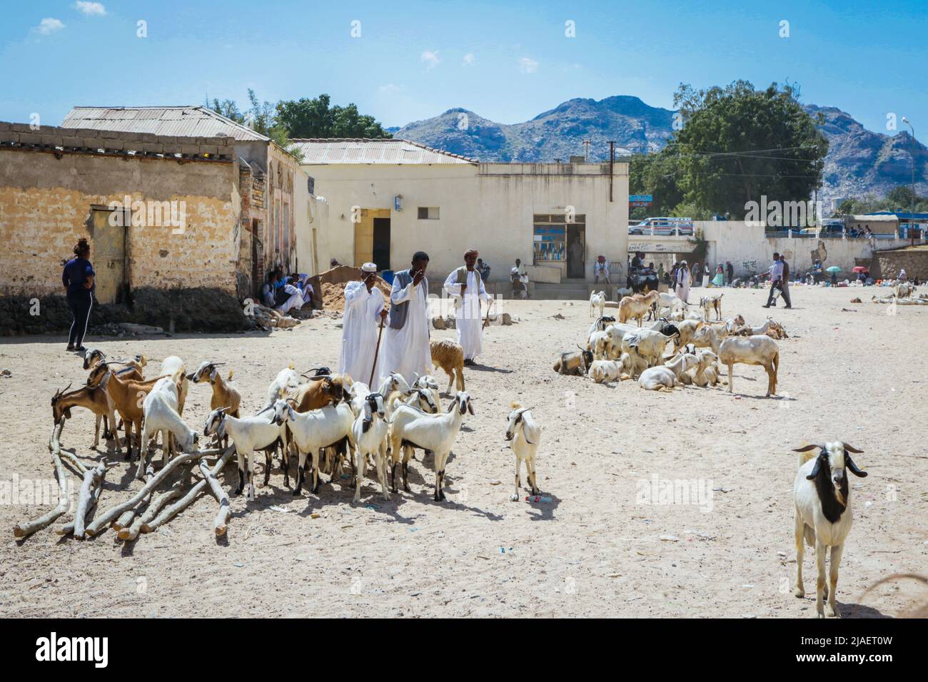 Chèvres hommes vendeurs en robe blanche traditionnelle sur le marché local des animaux Banque D'Images