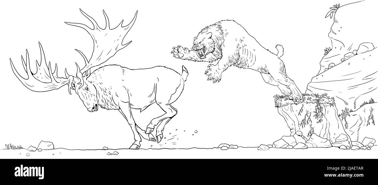 Sabre-tooth attaque les gigantesques mégaloceros de cerf. Dessin avec des animaux éteints. Modèle pour livre de coloriage. Banque D'Images