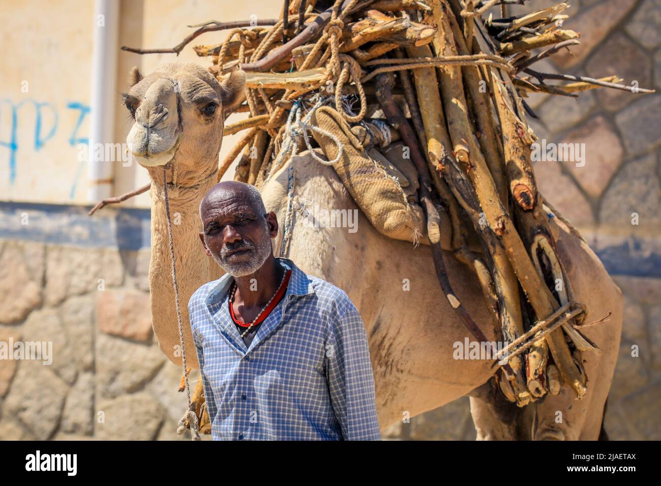 Vieux homme local près de la Camel avec le Pack de paille sur le marché des animaux de Keren Banque D'Images