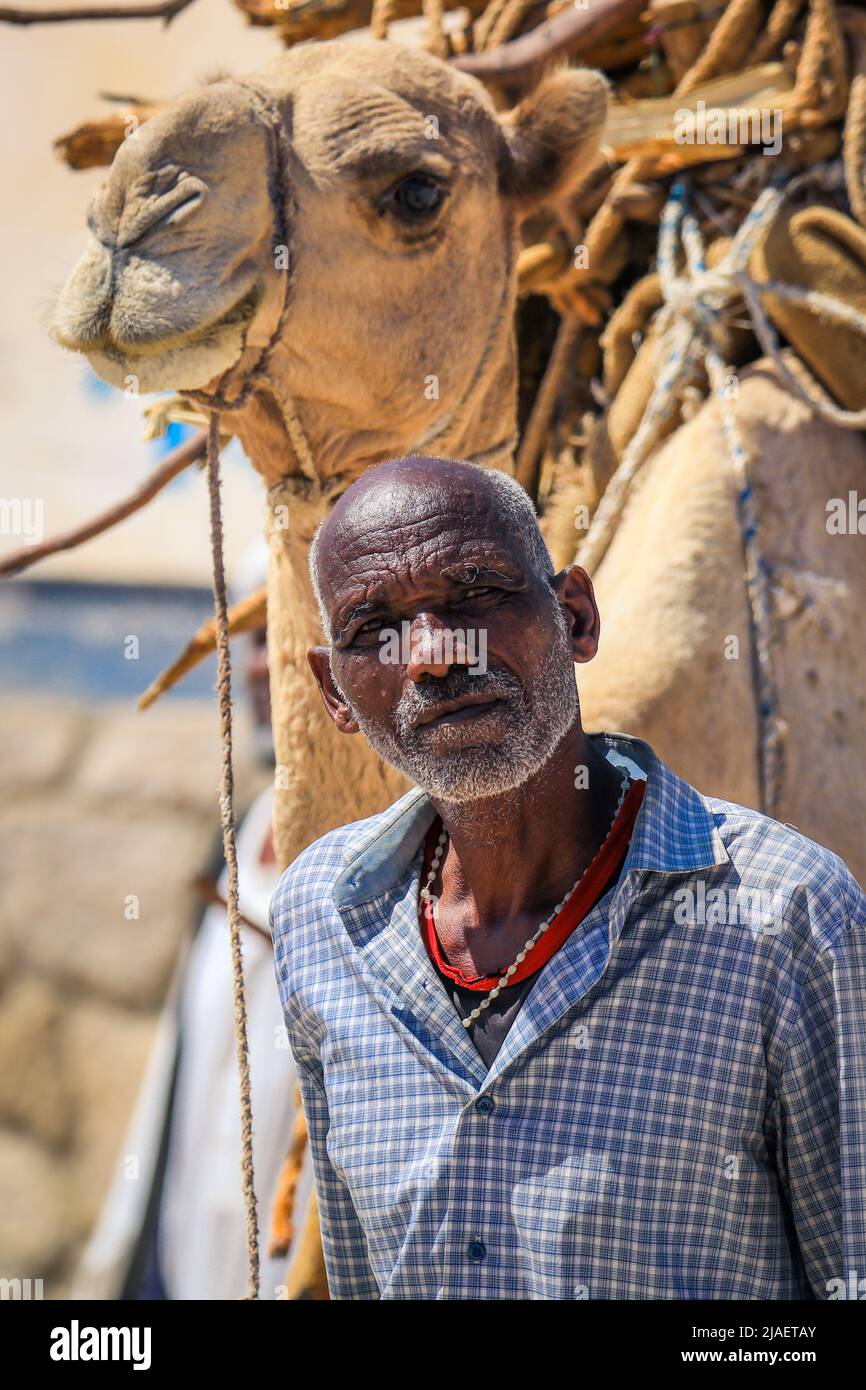 Vieux homme local près de la Camel avec le Pack de paille sur le marché des animaux de Keren Banque D'Images