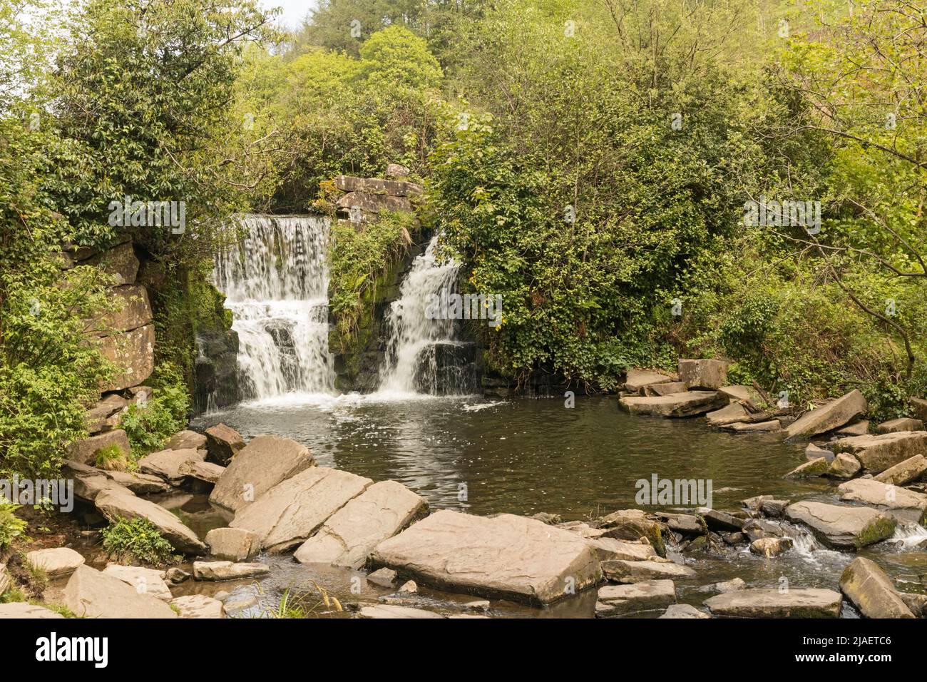 Rivière cascade à Llançà, Penllergare Valley Woods, Penllergaer, Swansea, Pays de Galles, Royaume-Uni Banque D'Images