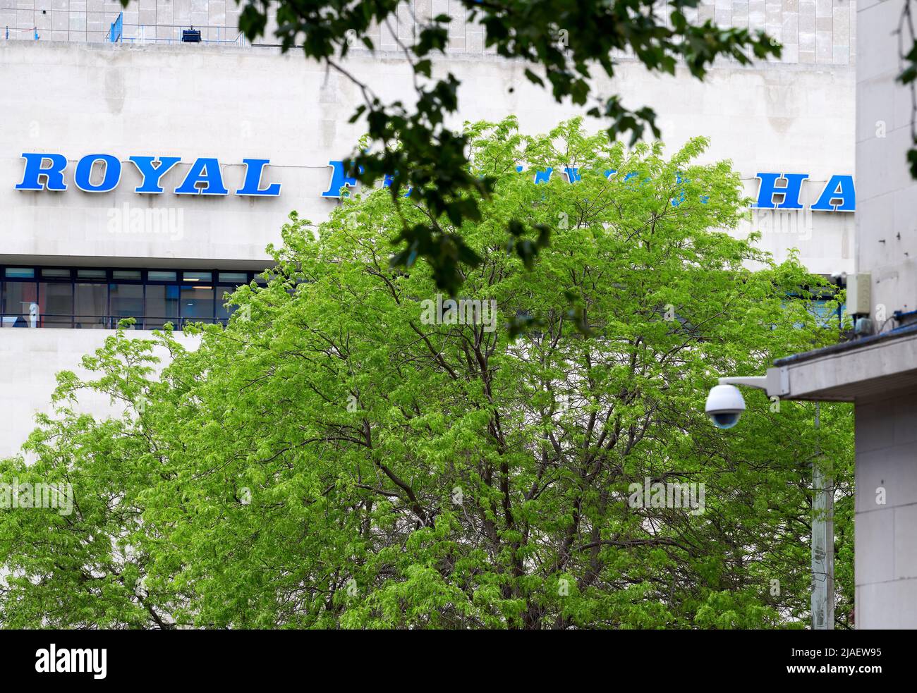Royal Festival Hall, South Bank, Londres, Angleterre. Banque D'Images