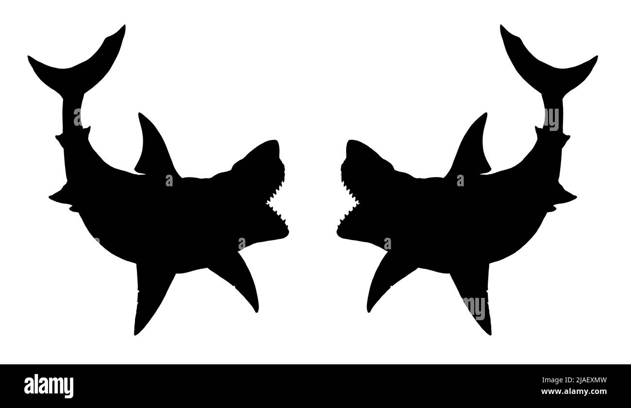 Requin préhistorique - mégalodon. Gros dessin de requin. Illustration du mégalodon de poisson monstre. Banque D'Images