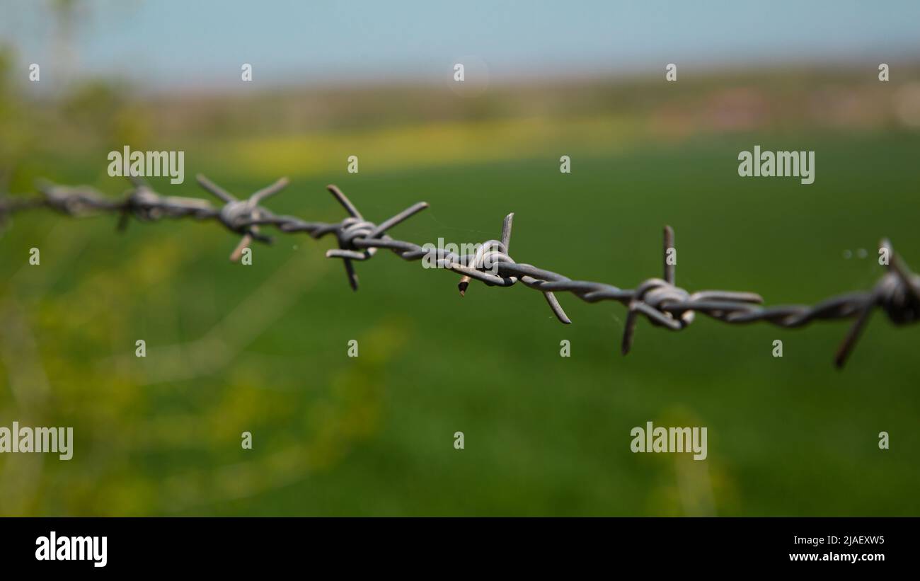 fil barbelé contre un ciel et un champ vert Banque D'Images