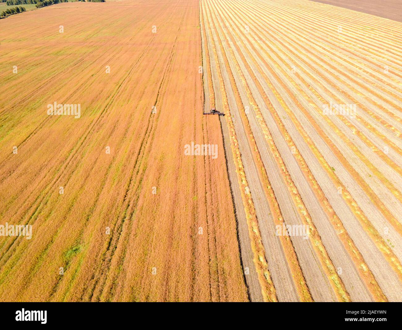 Image de drone aérien de champs avec diverses cultures basées sur le principe de la polyculture et de la permaculture - une agriculture saine méthode de l'écosystème Banque D'Images