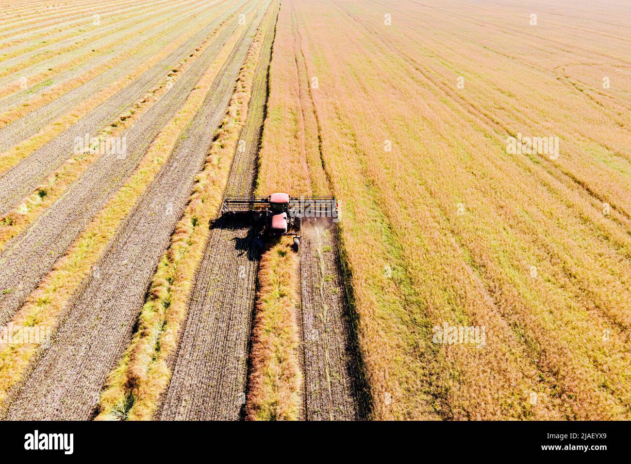 Machine agricole la récolte dans les champs. Le tracteur tire sur un mécanisme pour la fenaison. La récolte en automne le matin à l'aube. de l'agrobusiness en t Banque D'Images