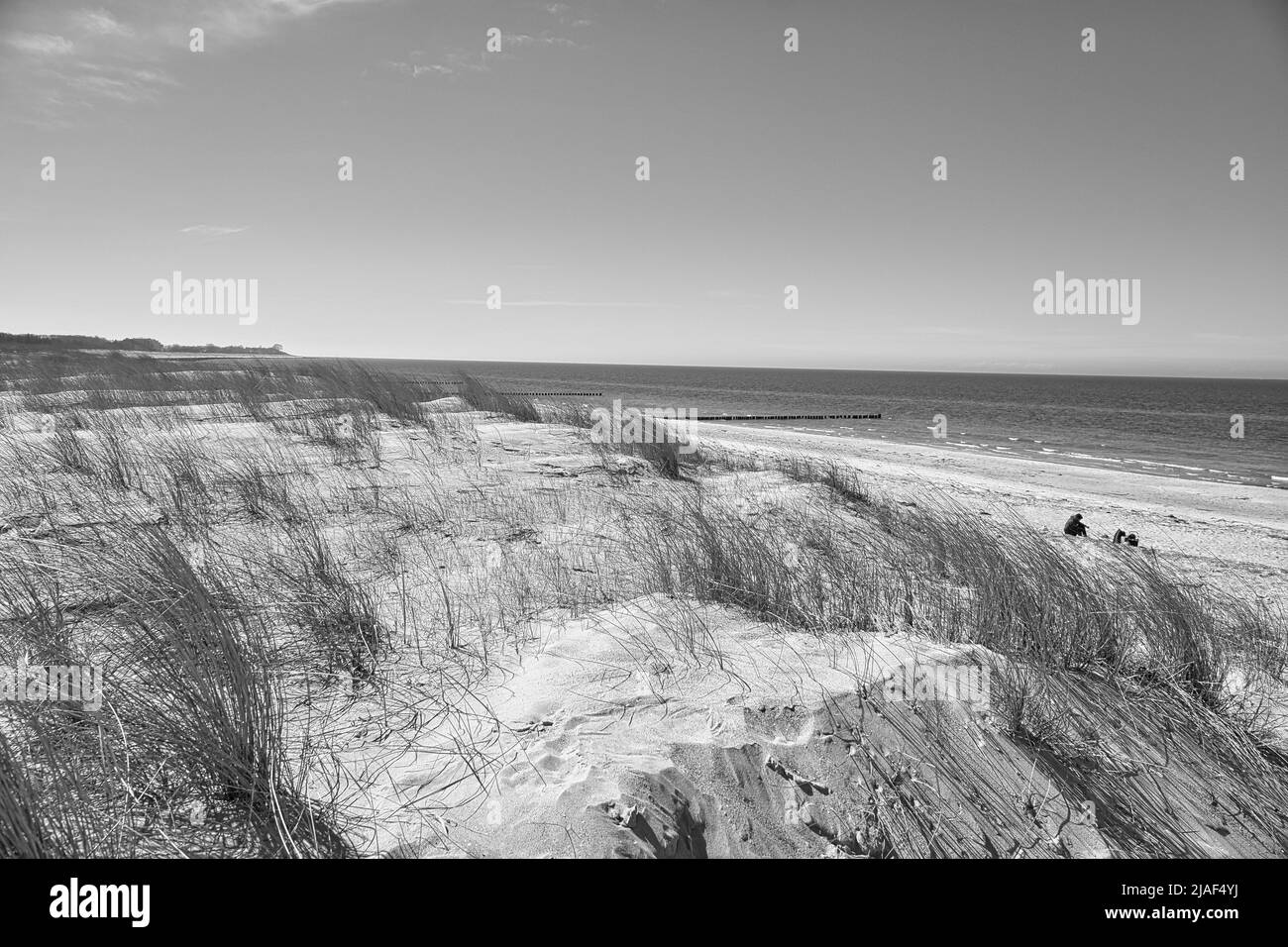 dune haute sur le darss. Point de vue dans le parc national. Plage, mer Baltique, ciel et mer. Photo de la nature en Allemagne Banque D'Images
