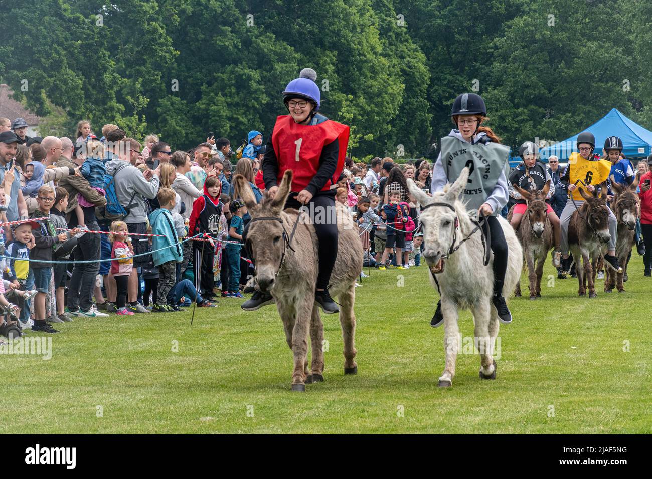 Farnborough Donkey Derby, 2022 mai, avec des enfants participant à des courses d'ânes, Hampshire, Angleterre, Royaume-Uni Banque D'Images