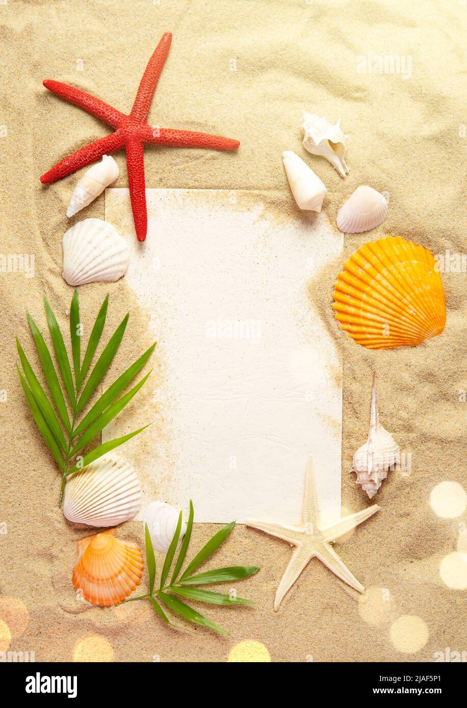Note vierge avec les coquillages et les feuilles de palmier sur le sable Banque D'Images