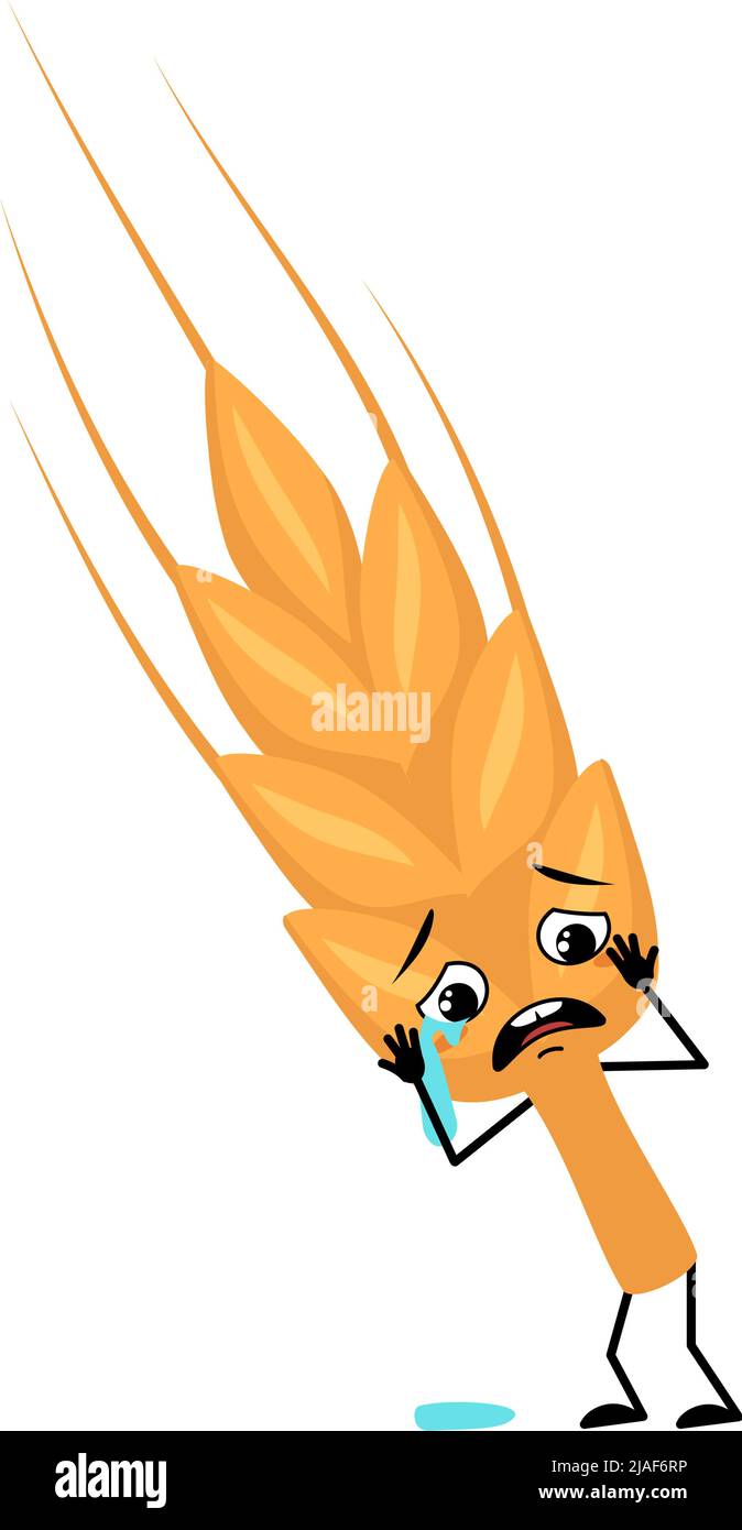 Mignonne oreille de caractère de blé avec pleurs et larmes émotion, visage triste, yeux dépressifs, bras et jambes. Céréales saines avec expression et posture mélancolie, nourriture riche en vitamines. Illustration vectorielle plate Illustration de Vecteur