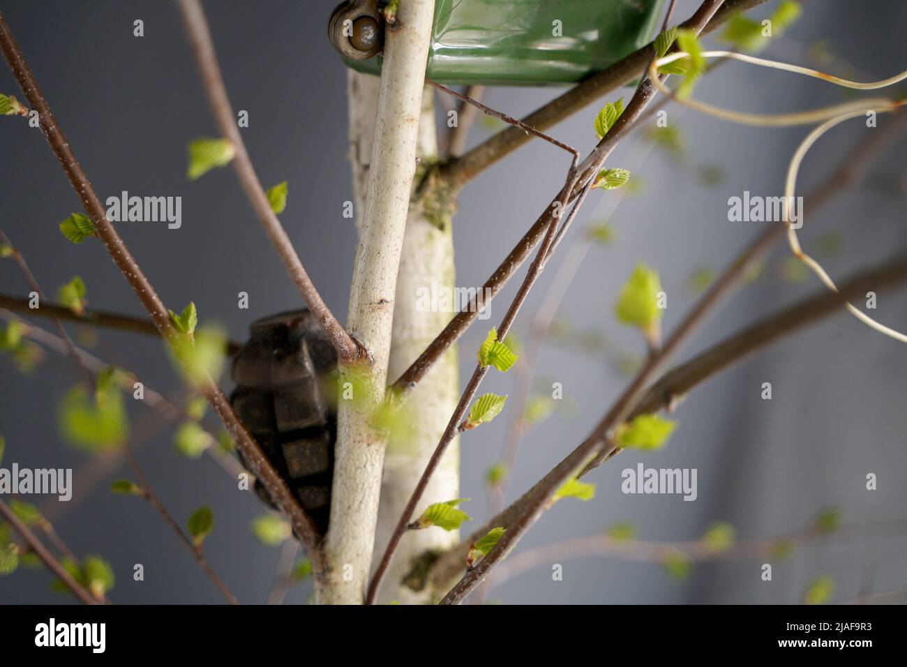 Beaucoup de obus et de roquettes de guerre en Ukraine. Grenades, ATGMS, missiles de croisière. Mine anti-personnel. Territoire dégagé. Déminage par les troupes du terr Banque D'Images