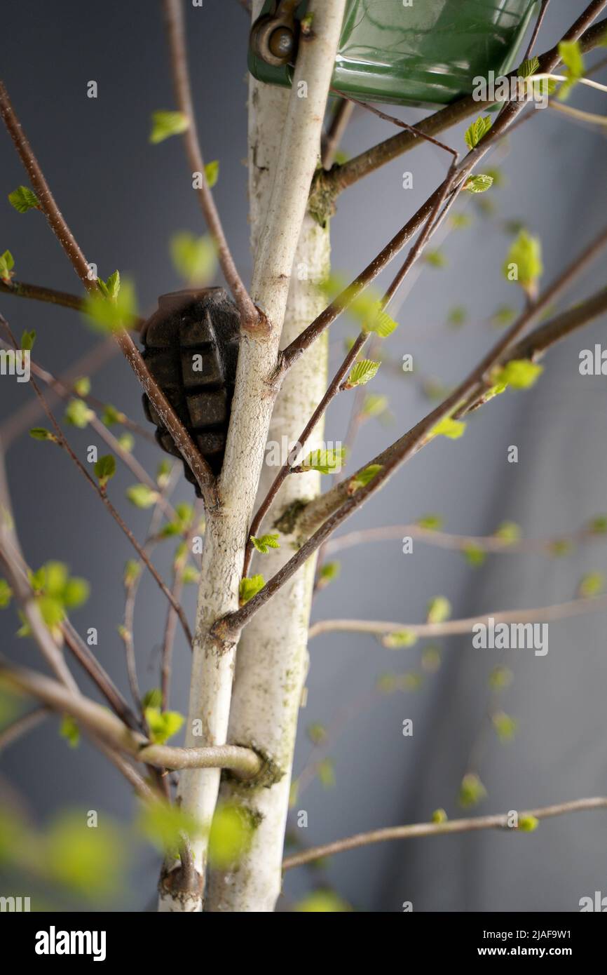 Beaucoup de obus et de roquettes de guerre en Ukraine. Grenades, ATGMS, missiles de croisière. Mine anti-personnel. Territoire dégagé. Déminage par les troupes du terr Banque D'Images