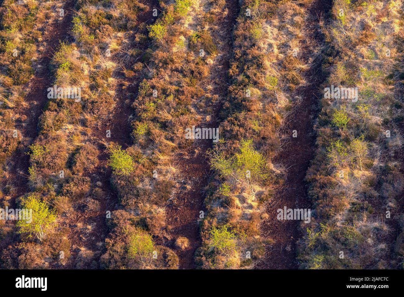 Forte lande après récolte de tourbe, 05/18/2022, vue aérienne, Allemagne, Schleswig-Holstein Banque D'Images