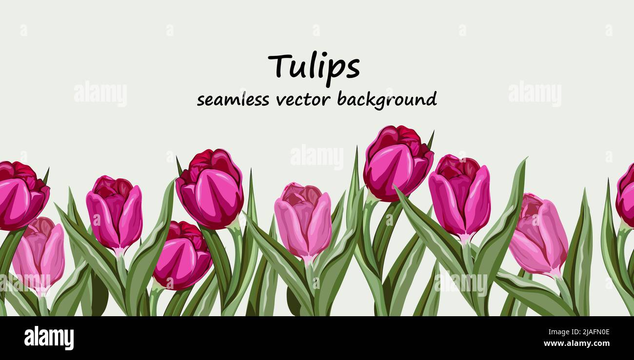 Motif tulipes roses sans couture. Fond de fleurs de printemps répétables sans fin avec tulipes, illustration vectorielle dessinée à la main isolée. Illustration de Vecteur