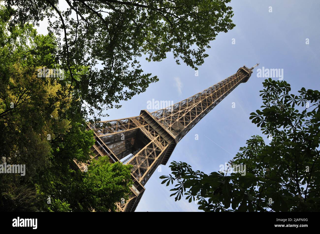 Vue sur la tour Eiffel à travers les arbres. Banque D'Images