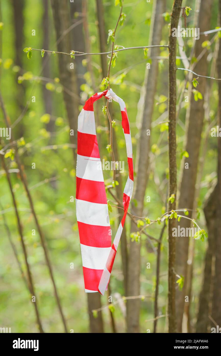 Ruban barrière rayé rouge et blanc sur la fermeture des branches, zone d'affichage pour la sécurité Banque D'Images