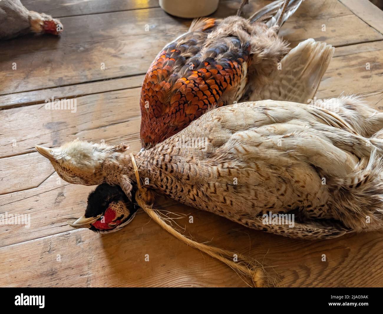 Jeux d'oiseaux sur une table de cuisine rustique de ferme. Banque D'Images