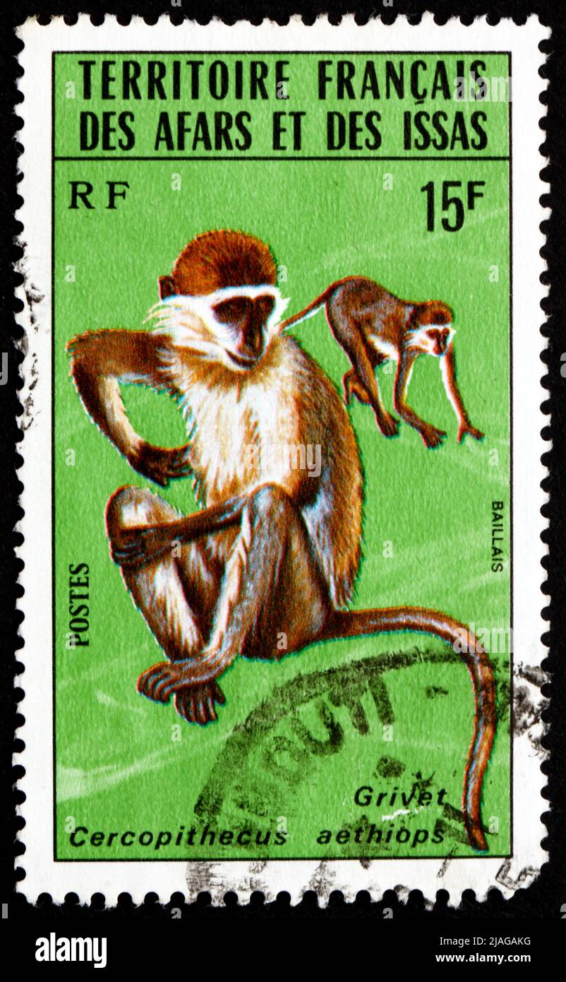 AFARS ET ISSAS - VERS 1975 : un timbre imprimé dans Afars et Issas montre Grivet, Cercopithecus aethiops, Monkey, vers 1975 Banque D'Images