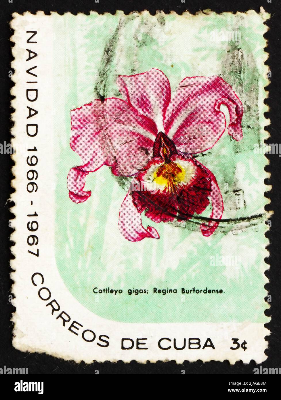 CUBA - VERS 1899 : un timbre imprimé à Cuba montre Cattleya Warcewiczii reginae Burfordense, Orchid, vers 1899 Banque D'Images